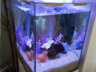 イシハラアクアリウム