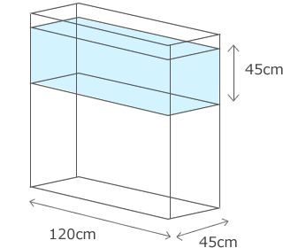 熱帯魚アクアリウム水槽