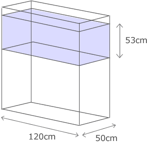 海水魚アクアリウム水槽