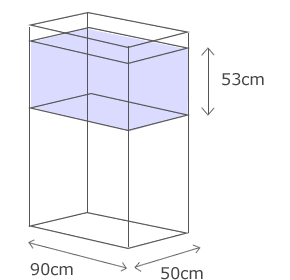 海水魚アクアリウム水槽